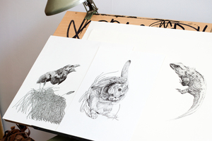 Drawing desk set-up. Photo / Babiche Martens