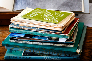Books on native plants and birds in Aotearoa / NewZealand. Photo / Babiche Martens