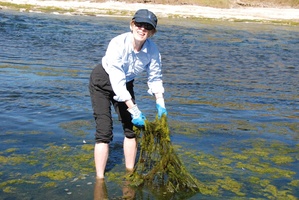 Previously clean waterways are now clogged with weeds - a situation we cannot change according to current trends. Photo / APN