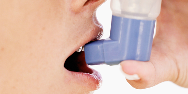 Researchers found that exposure to fatty acids had a detrimental effect on the transport of the inhaler treatment through bronchial epithelial cells. Photo / Thinkstock