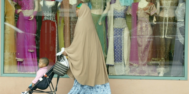 Mt Roskill is one of New Zealand's most multiculturally diverse habitats. Photo / Paul Estcourt
