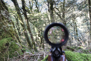 Photo / Thinkstock