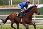 Second Hope is racing consistently Second Hope is racing consistently