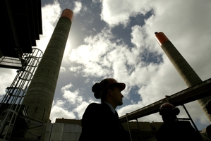 Brian Fallow: Curbing emissions is vital