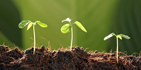 On the farm you grow what you eat. Photo / Thinkstock