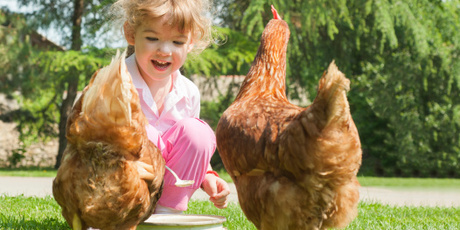 There are jobs for everyone to do on the farm. Photo / Thinkstock