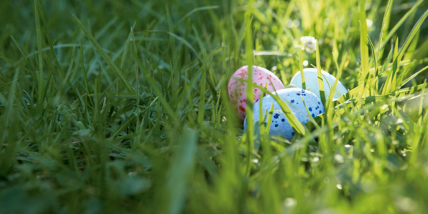 600 children and thier families are expected at the Easter Egg dig. Photo/Thinkstock