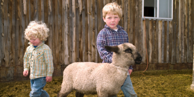 The lifestyle children get on the farm is far from what's considered normal for city kids.
