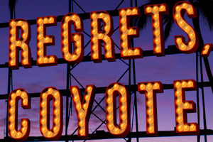 'No Regrets, Coyote' by John Dufresne.