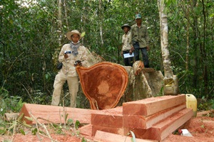 Killing of environmental activists rises globally
