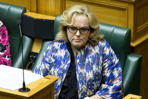 Judith Collins. Photo / Mark Mitchell