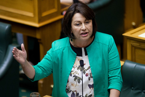 Education Minister Hekia Parata. Photo / Mark Mitchell