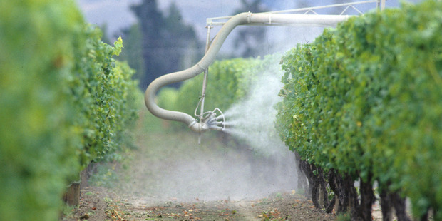 Spraying grapevines with Herbicide in Marlborough. Photo / Ross Setford