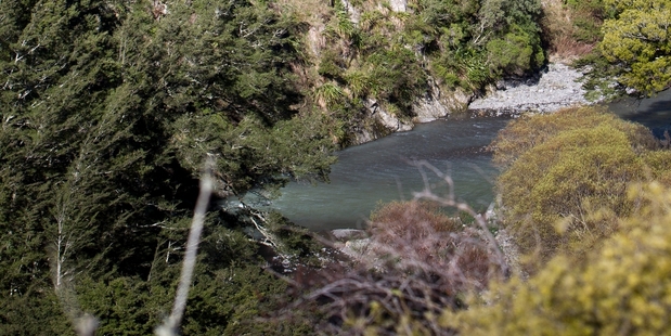 The proposed Ruataniwha water storage scheme would see a dam built on the Makaroro River.