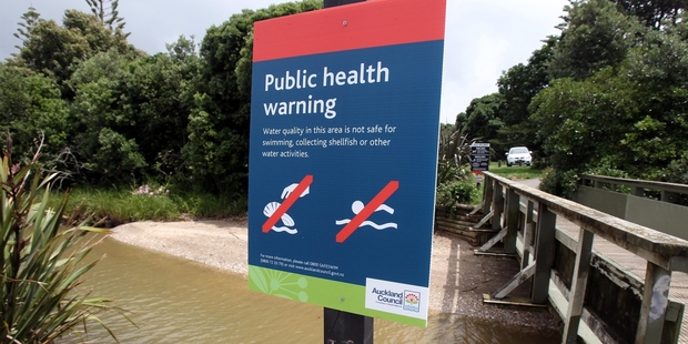 Auckland's approach to water quality has been criticised. Photo / APN