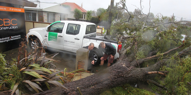 Wet Weather. Paul Taylor and Murray King from Classic Builders inspect damage done after a tree fell.