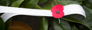 Photo / Thinkstock