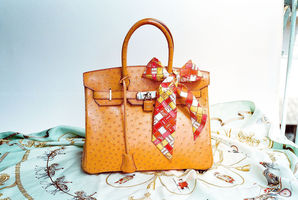 Hermes Ostrich Birkin Bag. Photo / Wikipedia-Wen-Cheng Liu