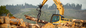 The Council of Trade Unions is seeking prosecutions over two Central North Island forestry deaths. FILE