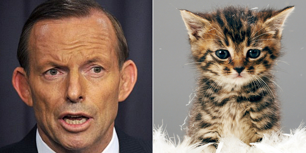 A phone app replaces the face of Australian PM Tony Abbott with cute kittens. Photo / AP / Thinkstock