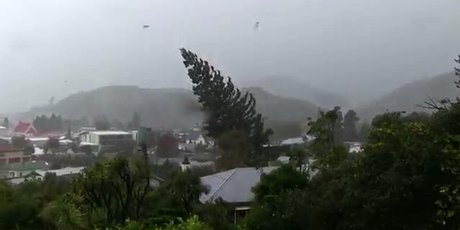 http://media.nzherald.co.nz/webcontent/image/jpg/201417/tree__460x230.jpeg