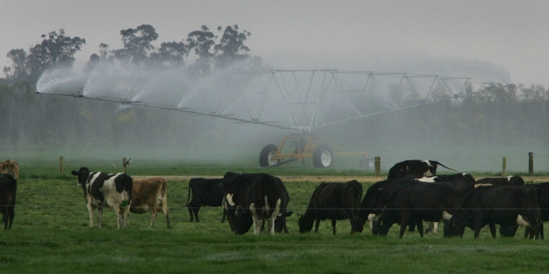 Irrigation schemes can collect and distribute a small amount of New Zealand's abundant water resource with far-reaching benefits. Photo / Simon Baker