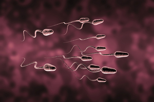 Infertility affects at least 10 per cent of couples, and in at least one third of cases relates to male fertility problems.
Photo / Thinkstock