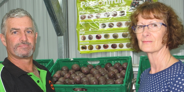 New Zealand Passionfruit Growers Association president Tony Wright and secretary Sue Sharp say 85 per cent of its growers are based in the Bay of Plenty.