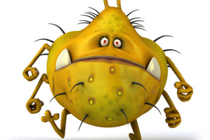 Parasites can infest any part of the body that has an opening to the outside world. Photo / Thinkstock