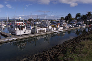 The Whitianga marina, where the young boy tragically drowned. File photo / NZ Herald