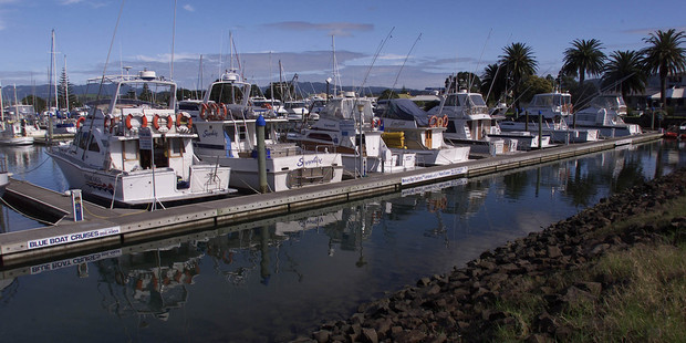 The Whitianga marina, where the young boy tragically drowned. File photo / NZ Herald