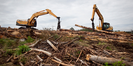 CTU president Helen Kelly said forestry was six times more dangerous than any other industry. Photo / Natalie Slade