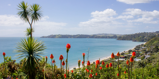 The public has been advised not to consume shellfish collected from Onetangi Beach, on Waiheke Island, after being notified of a suspected case of Paralytic Shellfish Poisoning (PSP).