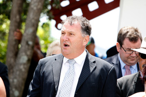 Shane Jones. Photo / Michael Cunningham