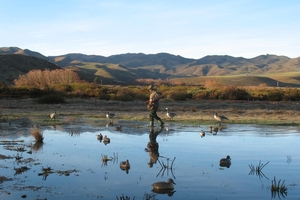 Duck Hunting season is upon us. Photo / supplied