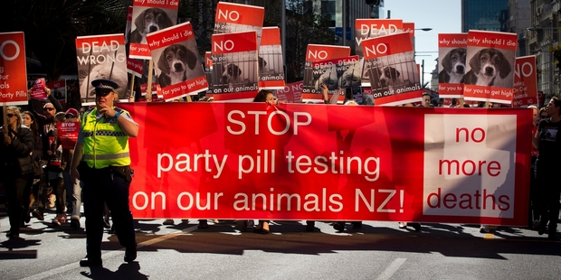 The possibility of testing on animals added to the debate. Photo / Sarah Ivey