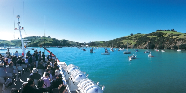 Auckland Transport says revised patronage data has shown a small increase in passenger numbers. Photo / Sarah Ivey