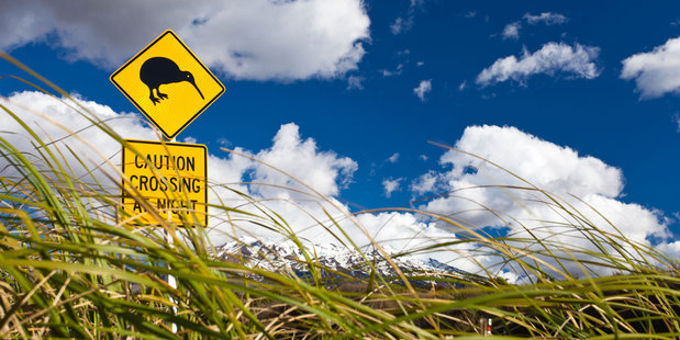 Photo / Thinkstock
