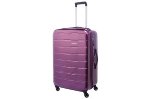 Samsonite's Spin Trunk passed tests inflicted by boisterous kids and inclement weather.