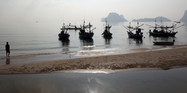 Industries such as commercial fishing, olive oil and growers of produce such as limes are susceptible to criminal gangs and food fraud. Photo / AP