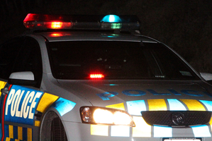 The men were arrested as part of police bust Operation Ark. Photo / File