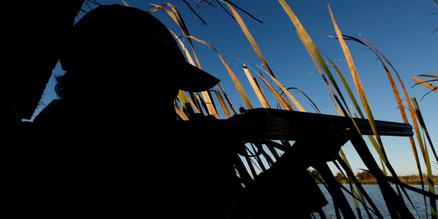 A gun control advocate is calling for tighter gun licensing regulations and harsher penalties. Photo / Christine Cornege