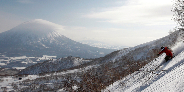 A freeskier makes the most of the powder on Mt Niseko Annupuri. Photo / Sarah Ivey