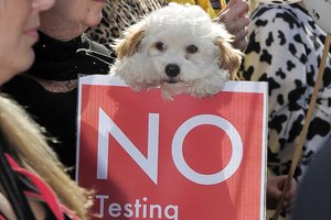 Protesters march to oppose animal testing on legal highs. Photo / File