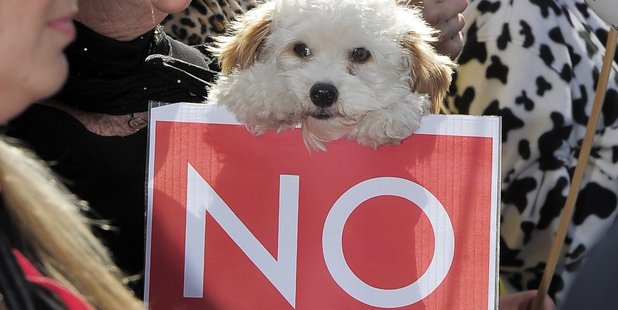 Protesters march to oppose animal testing on legal highs. Photo / File