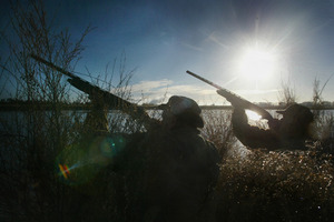 INJURY: The first injury of the duck hunting season was claimed on Saturday, in rural Wairarapa. PHOTO/FILE