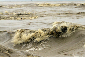 Photo / File