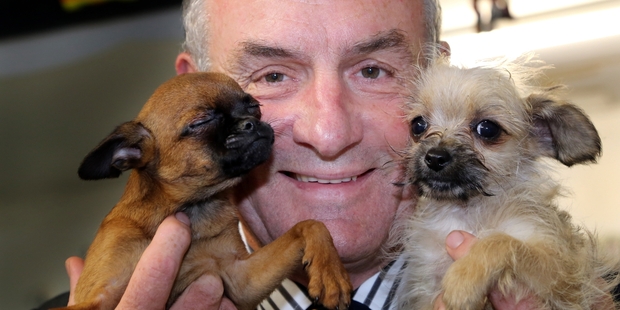 Trevor Mallard gets the animal rights portfolio after his campaign to halt testing on dogs. Photo / APN