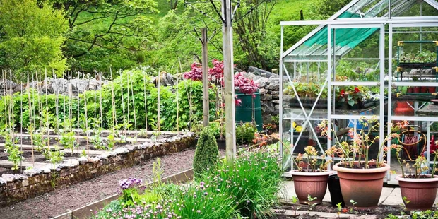 When you have become a real vegetable enthusiast, you'll need a glass house, compost bins, herb pots and a garden shed.