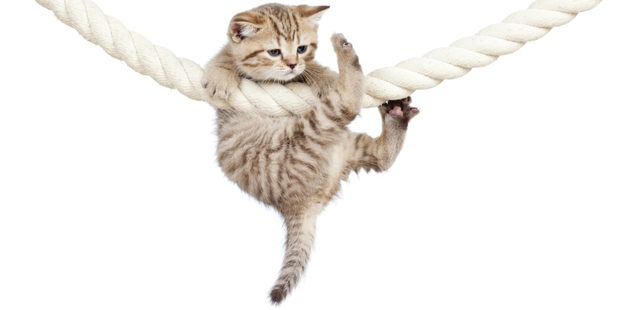 It can be hard to stick to new year's resolutions, but hang in there!
Photo / Thinkstock